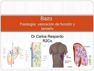 Fisiología: valoración de función y
tamaño
Bazo
Dr Carlos Respardo
R2Cg
 