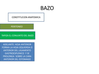 BAZO
CONSTITUCION ANATOMICA
PERITONEO
TAPIZA EL CONJUNTO DEL BAZO
ADELANTE: HOJA ANTERIOR
FORMA LA HOJA IZQUIERDA O
ANTERIOR DEL LIGAMENTO
GASTROESPLENICO Y SE
PROLONGA SOBRE LA CARA
ANTERIOR DEL ESTOMAGO
 