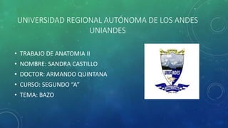 UNIVERSIDAD REGIONAL AUTÓNOMA DE LOS ANDES
UNIANDES
• TRABAJO DE ANATOMIA II
• NOMBRE: SANDRA CASTILLO
• DOCTOR: ARMANDO QUINTANA
• CURSO: SEGUNDO “A”
• TEMA: BAZO
 