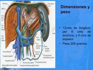 Dimensiones y
peso
• 12cms de longitud,
por 8 cms de
anchura, y 4 cms de
espesor
• Pesa 200 gramos
21/11/15
 