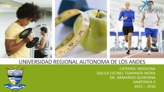 UNIVERSIDAD REGIONAL AUTONOMA DE LOS ANDES
CATEDRA: MEDICINA
DALILA CECIBEL TOAPANTA MORA
DR. ARMANDO QUINTANA
ANATOMIA II
2015 – 2016
 