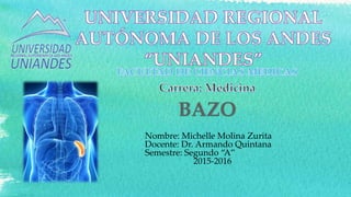 Nombre: Michelle Molina Zurita
Docente: Dr. Armando Quintana
Semestre: Segundo “A”
2015-2016
 