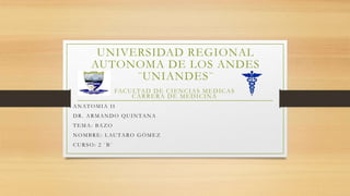 UNIVERSIDAD REGIONAL
AUTONOMA DE LOS ANDES
¨UNIANDES¨
FACULTAD DE CIENCIAS MEDICAS
CARRERA DE MEDICINA
ANATOMIA II
DR. ARMANDO QUINTANA
TEMA: BAZO
NOMBRE: LAUTARO GÓMEZ
CURSO: 2 ¨B¨
 