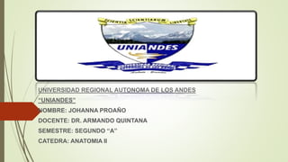 UNIVERSIDAD REGIONAL AUTONOMA DE LOS ANDES
“UNIANDES”
NOMBRE: JOHANNA PROAÑO
DOCENTE: DR. ARMANDO QUINTANA
SEMESTRE: SEGUNDO “A”
CATEDRA: ANATOMIA II
 