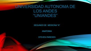 UNIVERSIDAD AUTONOMA DE
LOS ANDES
“UNIANDES”
SEGUNDO DE MEDICINA "A"​
ANATOMIA
STEVEN PAREDES
Dr. QUINTANA
 