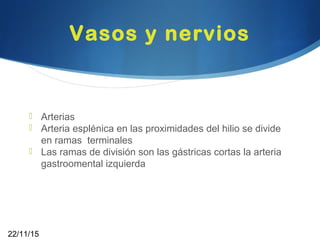 Vasos y nervios
 Arterias
 Arteria esplénica en las proximidades del hilio se divide
en ramas terminales
 Las ramas de división son las gástricas cortas la arteria
gastroomental izquierda
22/11/15
 