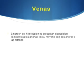 Venas
 Emergen del hilio esplénico presentan disposición
semejante a las arterias en su mayoría son posteriores a
las arterias
 