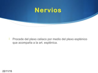 Nervios
 Procede del plexo celiaco por medio del plexo esplénico
que acompaña a la art. esplénica.
22/11/15
 