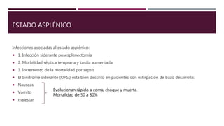 ESTADO ASPLÉNICO
Infecciones asociadas al estado asplénico:
 1. Infección siderante posesplenectomía
 2. Morbilidad séptica temprana y tardía aumentada
 3. Incremento de la mortalidad por sepsis
 El Sindrome siderante (OPSI) esta bien descrito en pacientes con extirpacion de bazo desarrolla:
 Nauseas
 Vomito
 malestar
Evolucionan rápido a coma, choque y muerte.
Mortalidad de 50 a 80%
 