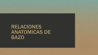RELACIONES
ANATOMICAS DE
BAZO
 