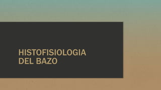 HISTOFISIOLOGIA
DEL BAZO
 