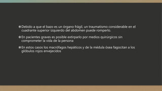 Debido a que el bazo es un órgano frágil, un traumatismo considerable en el
cuadrante superior izquierdo del abdomen puede romperlo.
En pacientes graves es posible extirparlo por medios quirúrgicos sin
comprometer la vida de la persona
En estos casos los macrófagos hepáticos y de la médula ósea fagocitan a los
glóbulos rojos envejecidos
 