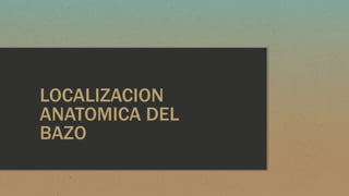 LOCALIZACION
ANATOMICA DEL
BAZO
 