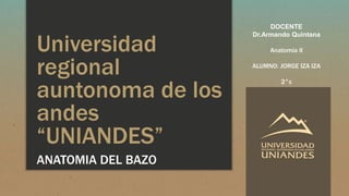 Universidad
regional
auntonoma de los
andes
“UNIANDES”
ANATOMIA DEL BAZO
DOCENTE
Dr.Armando Quintana
Anatomía II
ALUMNO: JORGE IZA IZA
2°c
 