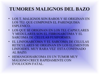 TUMORES MALIGNOS DEL BAZO
• LOS T. MALIGNOS SON RAROS Y SE ORIGINAN EN
LOS TEJ. QUE COMPONEN EL PARENQUIMA
ESPLENICO.
• LOS QUE SE ORIGINAN EN LOS TEJ. CAPSULARES
Y MEDULARES SON EL FIBROSARCOMA Y EL
SARCOMA DE CELULAS FUSIFORMES.
• EL LINFOSARCOMA Y EL SARCOMA DE CELULAS
RETICULARES SE ORIGINAN EN LOS ELEMENTOS
LINFOIDES. MUY RARA VEZ ESTA CONFINADO
AL BAZO.
• HEMANGIOSARCOMA ES UN TUMOR MUY
MALIGNO CRECE RAPIDAMENTE CON
EVOLUCION FATAL.
 