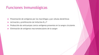 Funciones Inmunológicas
 Presentación de antígenos por los macrófagos y por células dendríticas
 Activación y proliferación de linfocitos B y T
 Producción de anticuerpos contra antígenos presentes en la sangre circulante
 Eliminación de antígenos macromoleculares de la sangre
 
