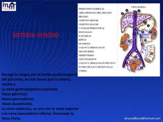 Recoge la sangre por el borde posterosuperior
del páncreas, es más lineal que la arteria,
recibe a:
La vena gastroepiplóica izquierda
Vasos gástricos.
Vasos pancreáticos.
Vasos duodenales.
La vena esplenica, se una con la vena superior
y la vena mesentérica inferior, formando la
Vena Porta.
SISTEMA VENOSO
 