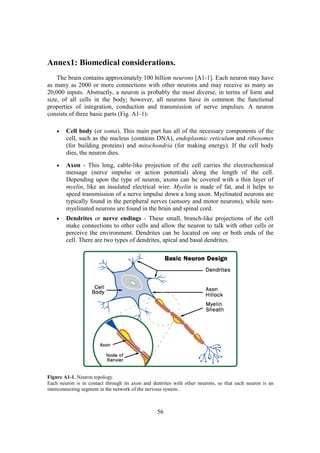 Annex1: Biomedical considerations.
    The brain contains approximately 100 billion neurons [A1-1]. Each neuron may have
as many as 2000 or more connections with other neurons and may receive as many as
20,000 inputs. Abstractly, a neuron is probably the most diverse, in terms of form and
size, of all cells in the body; however, all neurons have in common the functional
properties of integration, conduction and transmission of nerve impulses. A neuron
consists of three basic parts (Fig. A1-1):

    •   Cell body (or soma). This main part has all of the necessary components of the
        cell, such as the nucleus (contains DNA), endoplasmic reticulum and ribosomes
        (for building proteins) and mitochondria (for making energy). If the cell body
        dies, the neuron dies.
    •   Axon - This long, cable-like projection of the cell carries the electrochemical
        message (nerve impulse or action potential) along the length of the cell.
        Depending upon the type of neuron, axons can be covered with a thin layer of
        myelin, like an insulated electrical wire. Myelin is made of fat, and it helps to
        speed transmission of a nerve impulse down a long axon. Myelinated neurons are
        typically found in the peripheral nerves (sensory and motor neurons), while non-
        myelinated neurons are found in the brain and spinal cord.
    •   Dendrites or nerve endings - These small, branch-like projections of the cell
        make connections to other cells and allow the neuron to talk with other cells or
        perceive the environment. Dendrites can be located on one or both ends of the
        cell. There are two types of dendrites, apical and basal dendrites.




Figure A1-1. Neuron topology.
Each neuron is in contact through its axon and dentrites with other neurons, so that each neuron is an
interconnecting segment in the network of the nervous system.



                                                 56
 
