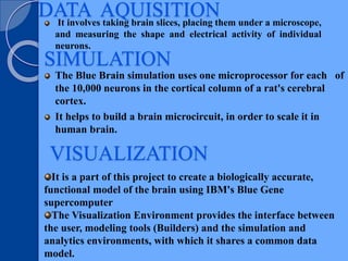 BLUE BRAIN PROJECT | PPTX