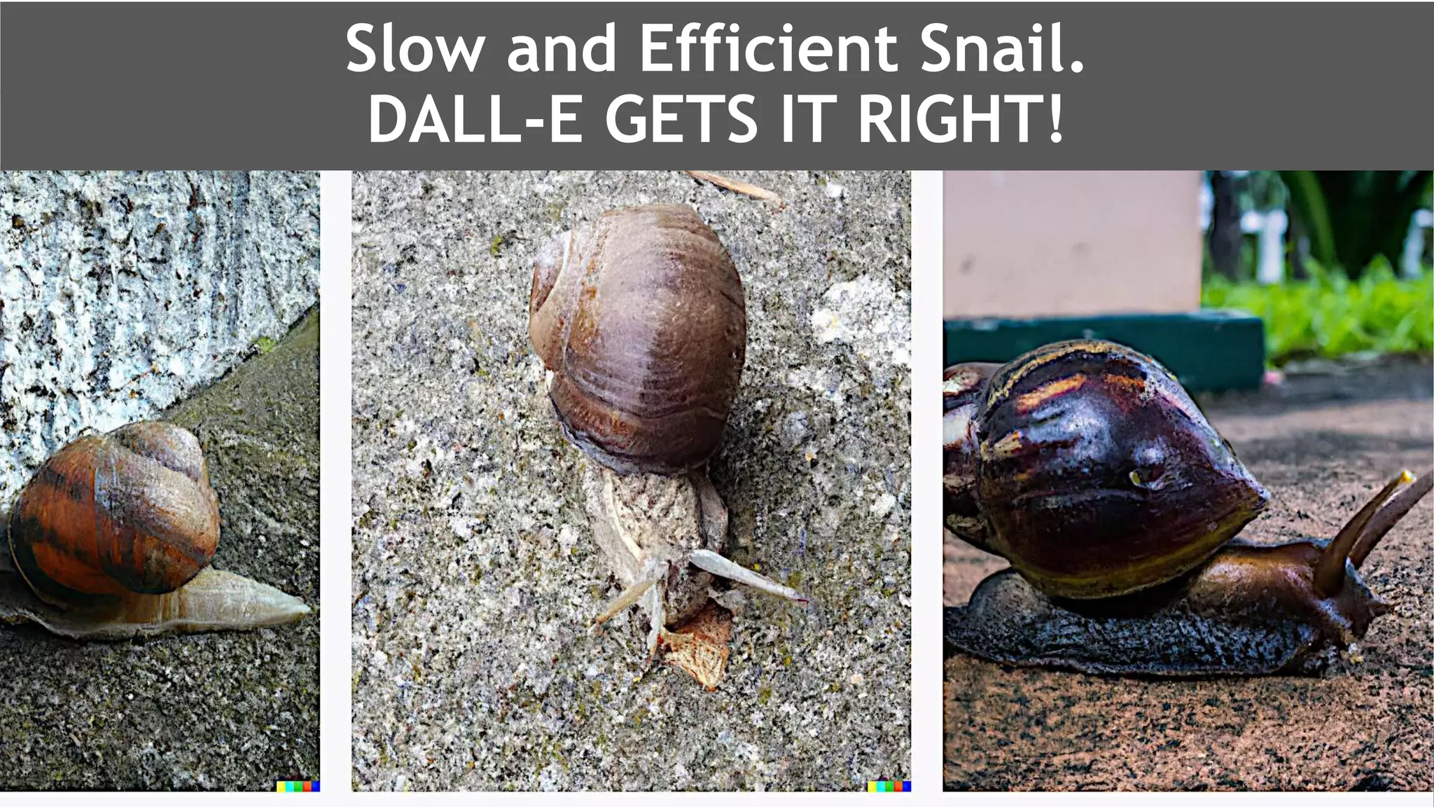 @schachin
Kristine Schachinger
Slow and Efficient Snail.
DALL-E GETS IT RIGHT!
 