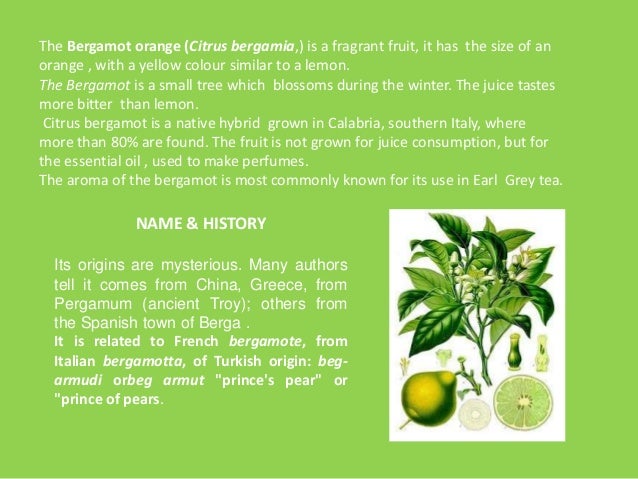 How To Say Bergamot In English How To Say Bergamot In English