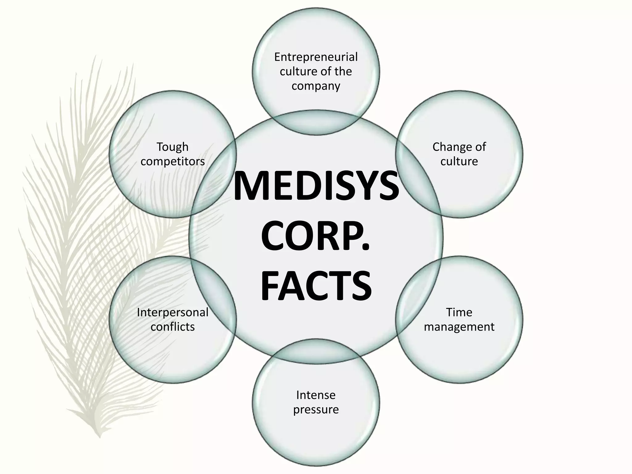 MEDISYS
CORP.
FACTS
Entrepreneurial
culture of the
company
Change of
culture
Time
management
Intense
pressure
Interpersonal
conflicts
Tough
competitors
 