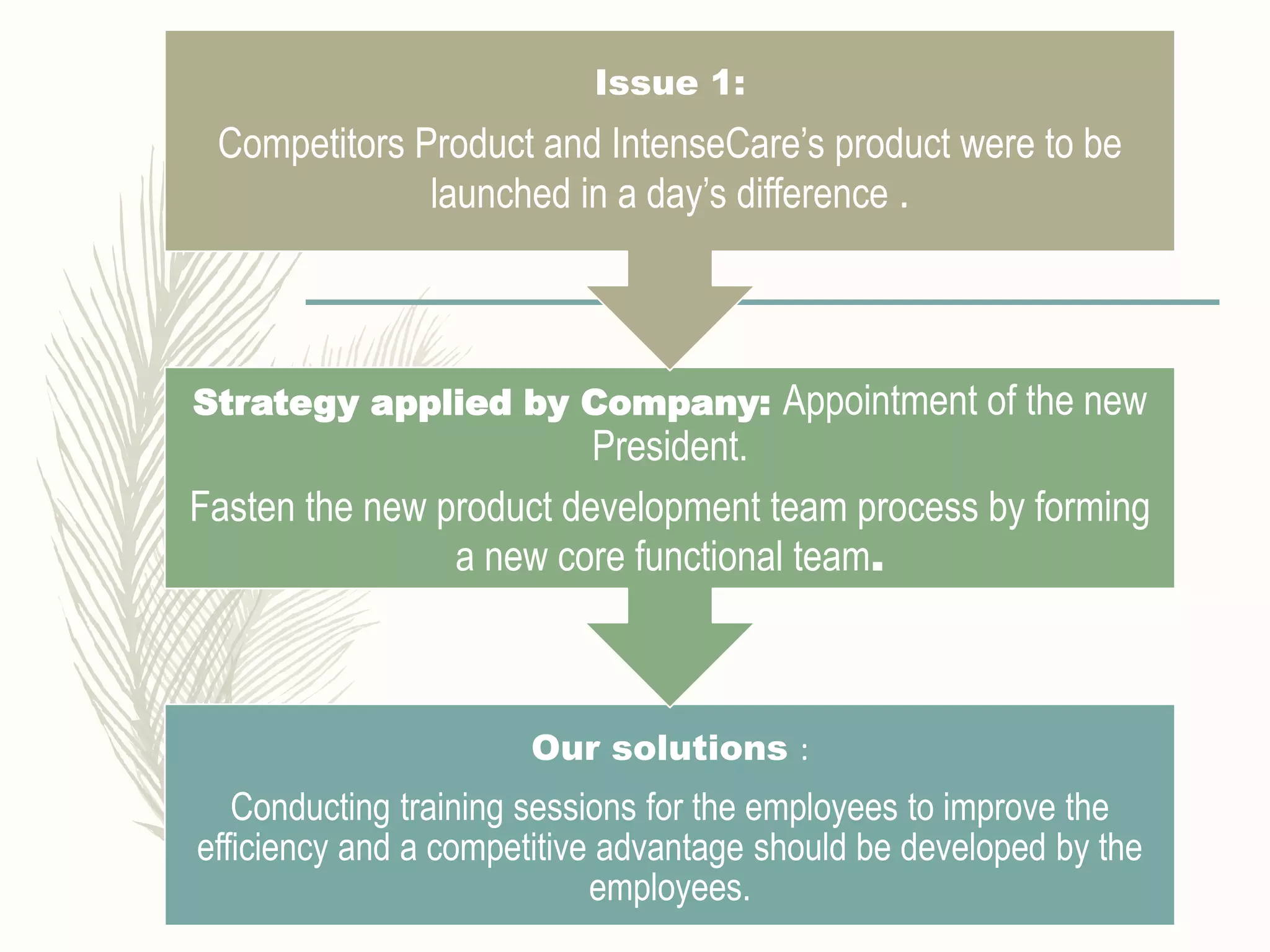 Our solutions :
Conducting training sessions for the employees to improve the
efficiency and a competitive advantage should be developed by the
employees.
Strategy applied by Company: Appointment of the new
President.
Fasten the new product development team process by forming
a new core functional team.
Issue 1:
Competitors Product and IntenseCare’s product were to be
launched in a day’s difference .
 