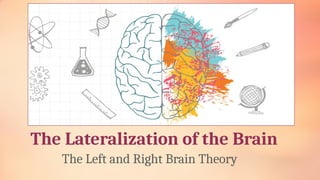 The Lateralization of the Brain
The Left and Right Brain Theory
 