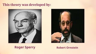 This theory was developed by:
Roger Sperry Robert Ornstein
 