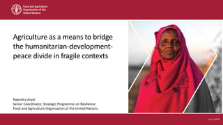 June 2018
Rajendra Aryal
Senior Coordinator, Strategic Programme on Resilience
Food and Agriculture Organization of the United Nations
Agriculture as a means to bridge
the humanitarian-development-
peace divide in fragile contexts
 