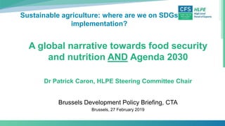 Sustainable agriculture: where are we on SDGs
implementation?
A global narrative towards food security
and nutrition AND Agenda 2030
Dr Patrick Caron, HLPE Steering Committee Chair
Brussels Development Policy Briefing, CTA
Brussels, 27 February 2019
 