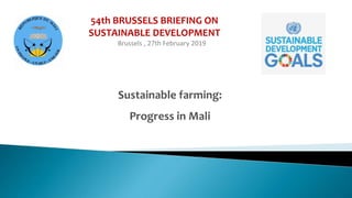 54th BRUSSELS BRIEFING ON
SUSTAINABLE DEVELOPMENT
Brussels , 27th February 2019
 