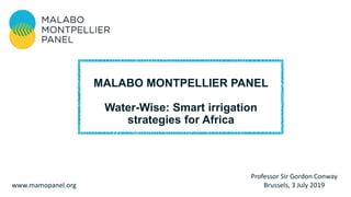 Professor Sir Gordon Conway
Brussels, 3 July 2019www.mamopanel.org
MALABO MONTPELLIER PANEL
Water-Wise: Smart irrigation
strategies for Africa
 