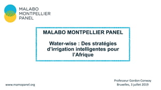Professeur Gordon Conway
Bruxelles, 3 juillet 2019www.mamopanel.org
MALABO MONTPELLIER PANEL
Water-wise : Des stratégies
d’irrigation intelligentes pour
l’Afrique
 