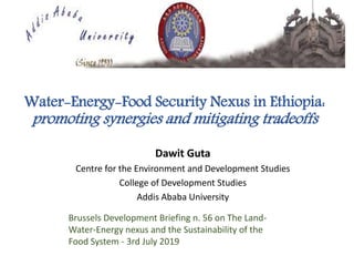 Water-Energy-Food Security Nexus in Ethiopia:
promoting synergies and mitigating tradeoffs
Dawit Guta
Centre for the Environment and Development Studies
College of Development Studies
Addis Ababa University
1
Brussels Development Briefing n. 56 on The Land-
Water-Energy nexus and the Sustainability of the
Food System - 3rd July 2019
 