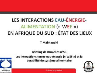 ...Inspirer la grandeur
T Mabhaudhi
Briefing de Bruxelles n°56
Les interactions terres-eau-énergie (« WEF ») et la
durabilité du système alimentaire
 