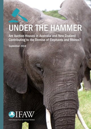 UNDER THE HAMMER
Are Auction Houses in Australia and New Zealand
Contributing to the Demise of Elephants and Rhinos?
September 2016
 