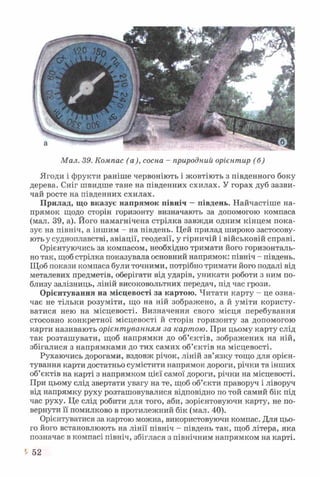 Мал. 39. Компас (а), сосна - природний орієнтир (б)
Ягоди і фрукти раніше червоніють і жовтіють з південного боку
дерева. Сніг швидше тане на південних схилах. У горах дуб зазви­
чай росте на південних схилах.
Прилад, що вказує напрямок північ —південь. Найчастіше на­
прямок щодо сторін горизонту визначають за допомогою компаса
(мал. 39, а). Його намагнічена стрілка завжди одним кінцем пока­
зує на північ, а іншим - на південь. Цей прилад широко застосову­
ють у судноплавстві, авіації, геодезії, у гірничій і військовій справі.
Орієнтуючись за компасом, необхідно тримати його горизонталь­
но так, щоб стрілка показувала основний напрямок: північ - південь.
Щоб покази компаса були точними, потрібно тримати його подалі від
металевих предметів, оберігати від ударів, уникати роботи з ним по­
близу залізниць, ліній високовольтних передач, під час грози.
Орієнтування на місцевості за картою. Читати карту - це озна­
чає не тільки розуміти, що на ній зображено, а й уміти користу­
ватися нею на місцевості. Визначення свого місця перебування
стосовно конкретної місцевості й сторін горизонту за допомогою
карти називають орієнтуванням, за картою. При цьому карту слід
так розташувати, щоб напрямки до об’єктів, зображених на ній,
збігалися з напрямками до тих самих об’єктів на місцевості.
Рухаючись дорогами, вздовж річок, ліній зв’язку тощо для орієн­
тування карти достатньо сумістити напрямок дороги, річки та інших
об’єктів на карті з напрямком цієї самої дороги, річки на місцевості.
При цьому слід звертати увагу на те, щоб об’єкти праворуч і ліворуч
від напрямку руху розташовувалися відповідно по той самий бік під
час руху. Це слід робити для того, аби, зорієнтовуючи карту, не по­
вернути її помилково в протилежний бік (мал. 40).
Орієнтуватися за картою можна, використовуючи компас. Для цьо­
го його встановлюють на лінії північ - південь так, щоб літера, яка
позначає в компасі північ, збіглася з північним напрямком на карті.
52
 