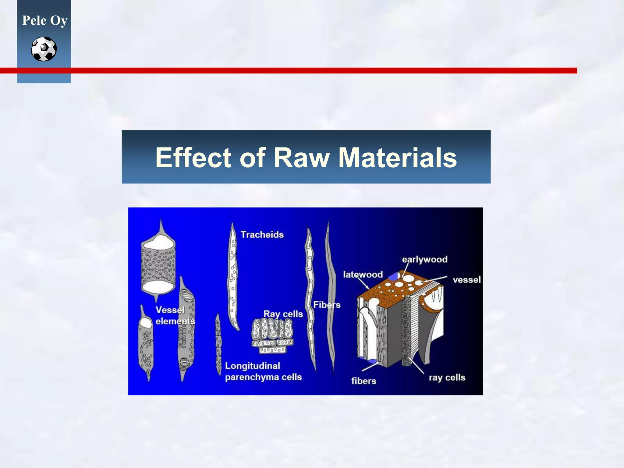 Pele Oy
Effect of Raw Materials
 