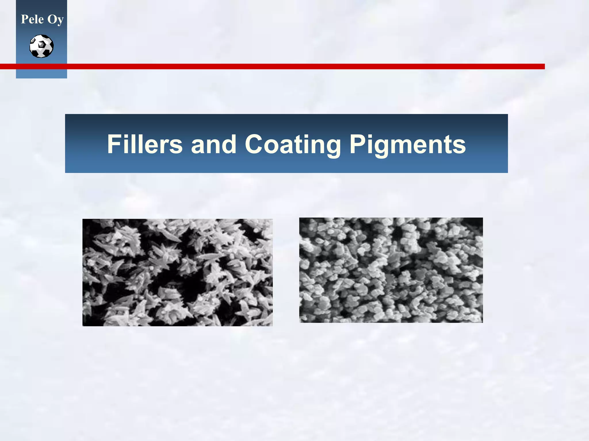 Pele Oy
Fillers and Coating Pigments
 