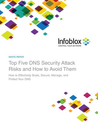 WHITE PAPER
Top Five DNS Security Attack
Risks and How to Avoid Them
How to Effectively Scale, Secure, Manage, and
Protect Your DNS
 