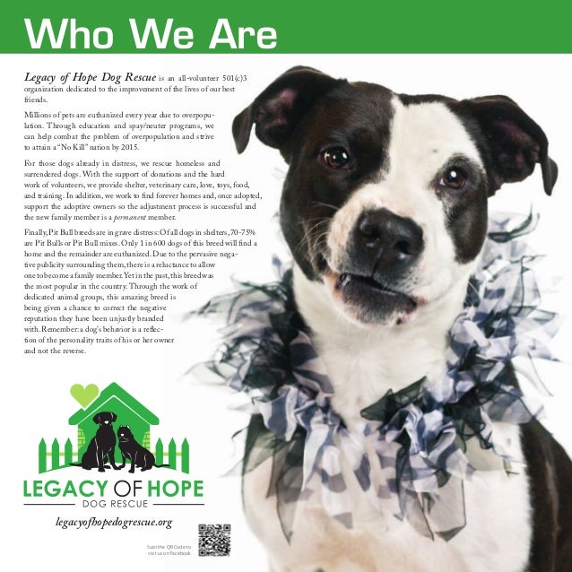 legacy of hope dog rescue