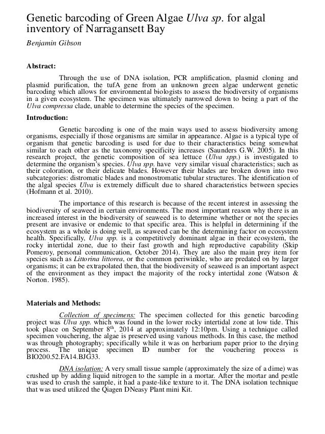 Algae lab report