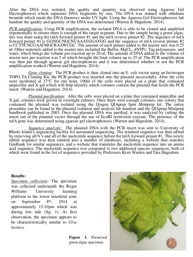 Early Intervention Research Paper Early Intervention Research Paper