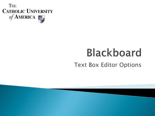 Text Box Editor Options
 