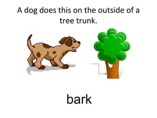 A dog does this on the outside of a
tree trunk.
bark
 