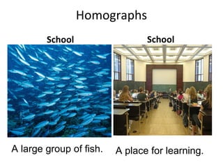 Homographs
School School
A large group of fish. A place for learning.
 