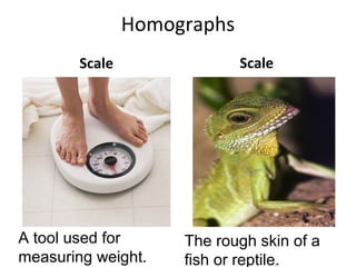 Homographs
Scale Scale
A tool used for
measuring weight.
The rough skin of a
fish or reptile.
 