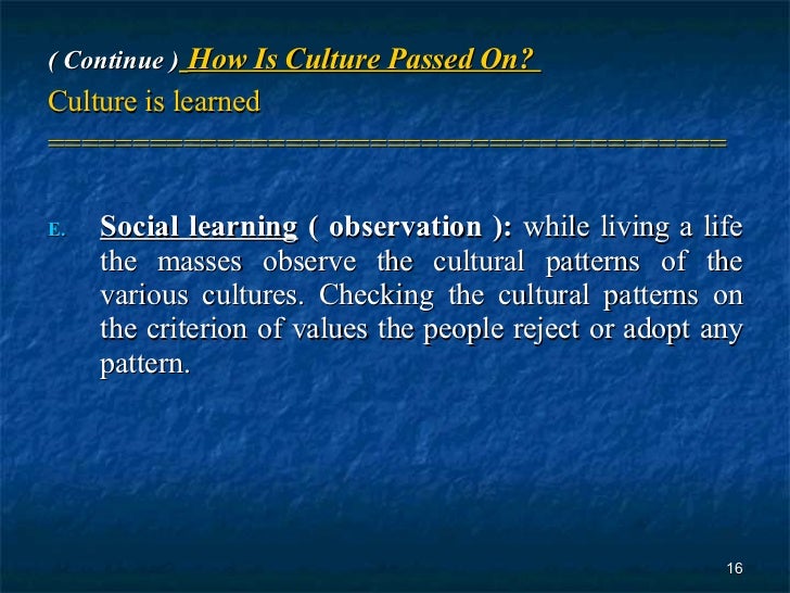 Bba L14 Dt Culture