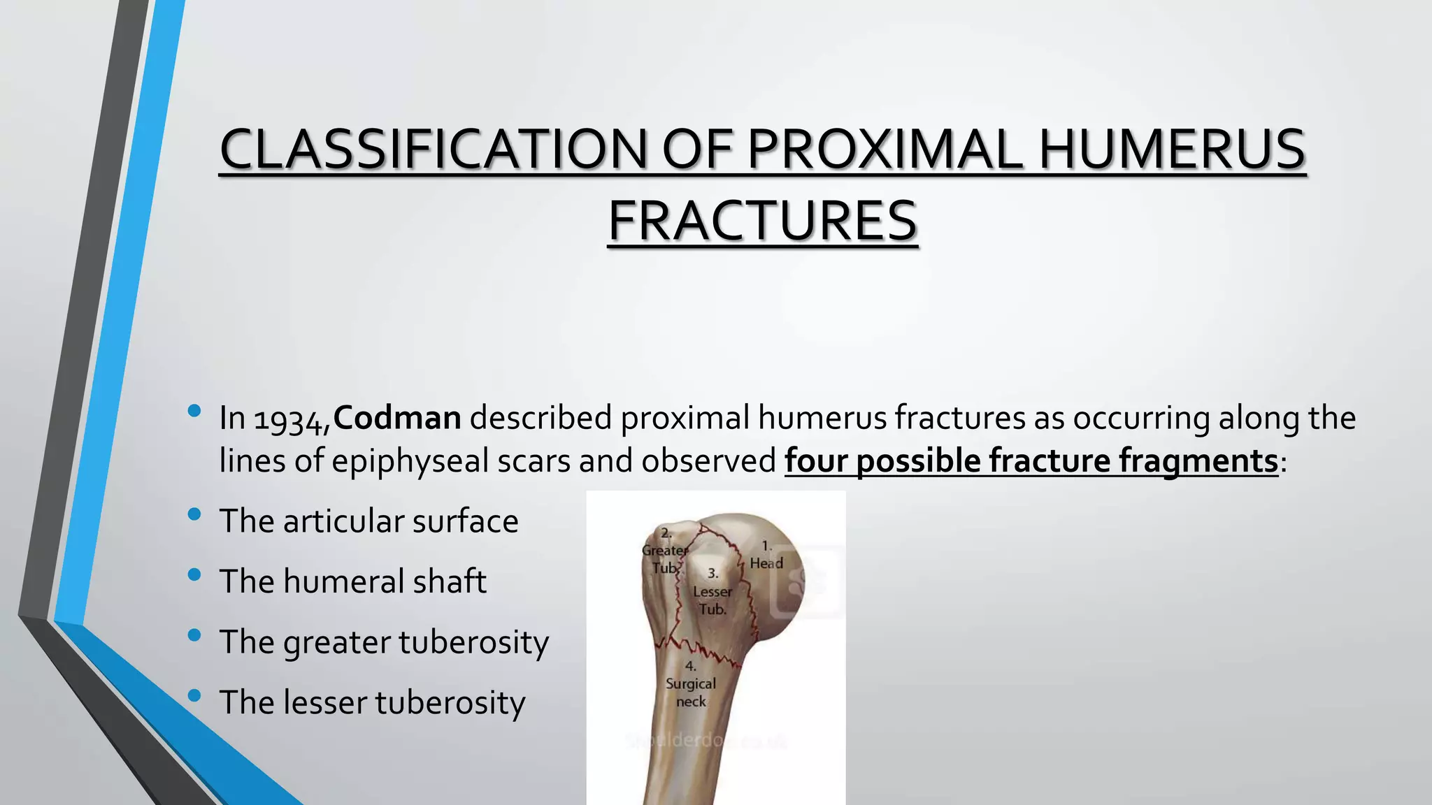 CLASSIFICATION OF PROXIMAL HUMERUS
FRACTURES
• In 1934,Codman described proximal humerus fractures as occurring along the
lines of epiphyseal scars and observed four possible fracture fragments:
• The articular surface
• The humeral shaft
• The greater tuberosity
• The lesser tuberosity
 